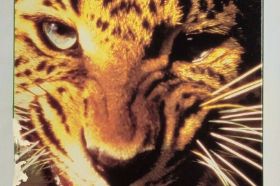 Animals! (not a game) on 3do